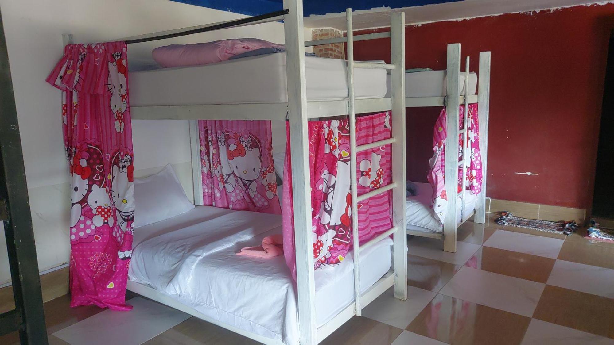 Mekong Backpackers Pakbeng公寓 客房 照片