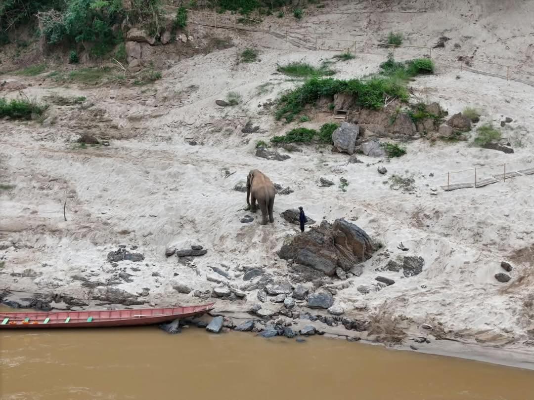 Mekong Backpackers Pakbeng公寓 外观 照片
