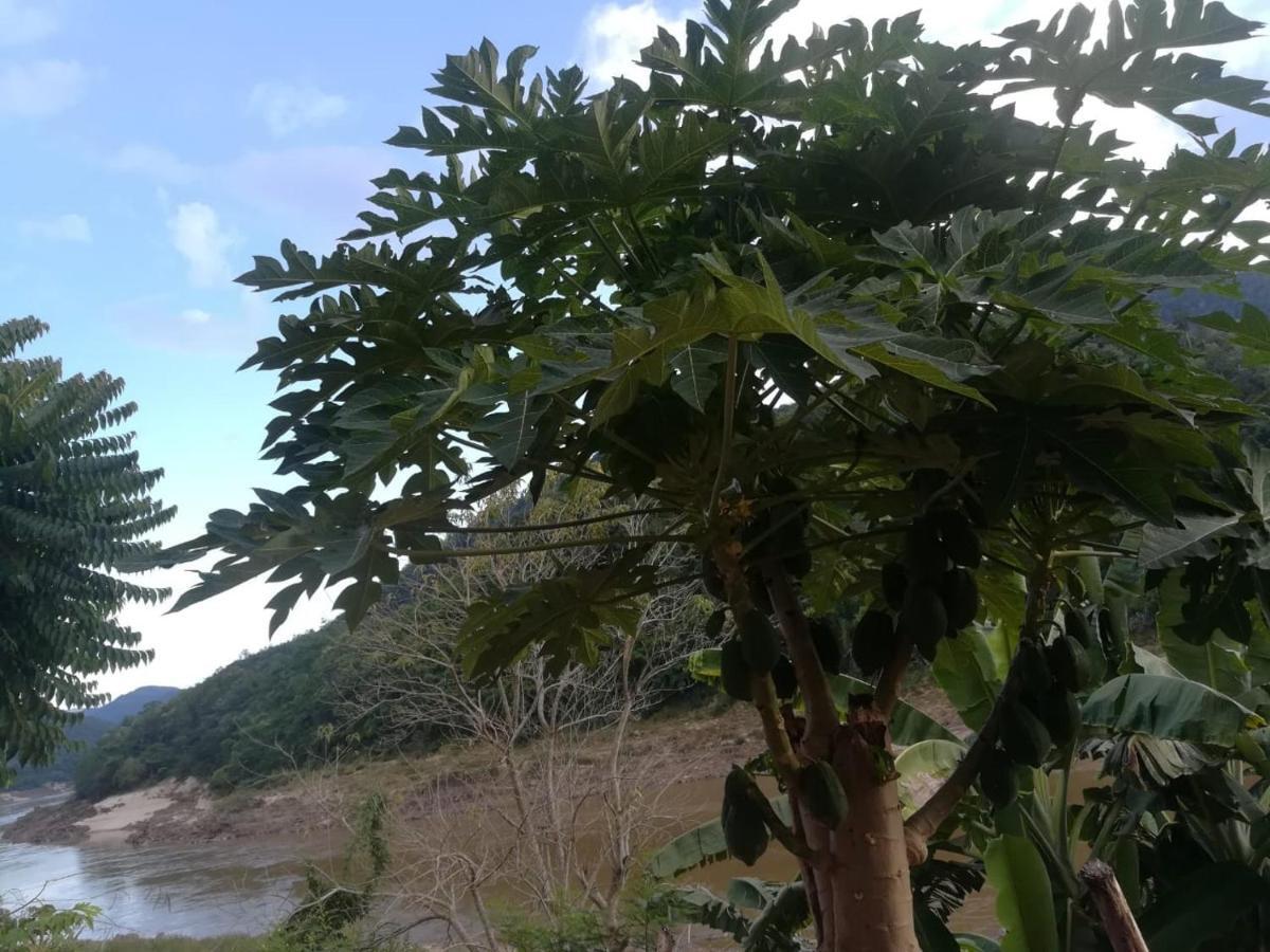 Mekong Backpackers Pakbeng公寓 外观 照片